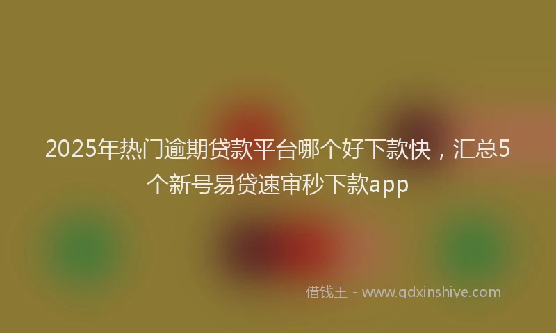 2025年热门逾期贷款平台哪个好下款快，汇总5个新号易贷速审秒下款app