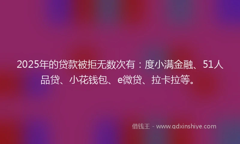 2025年的贷款被拒无数次有：度小满金融、51人品贷、小花钱包、e微贷、拉卡拉等。