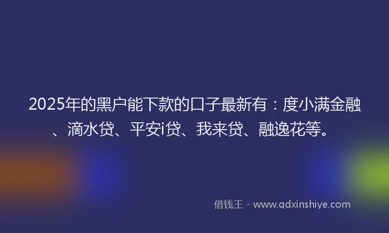 2025年的黑户能下款的口子最新有：度小满金融、滴水贷、平安i贷、我来贷、融逸花等。