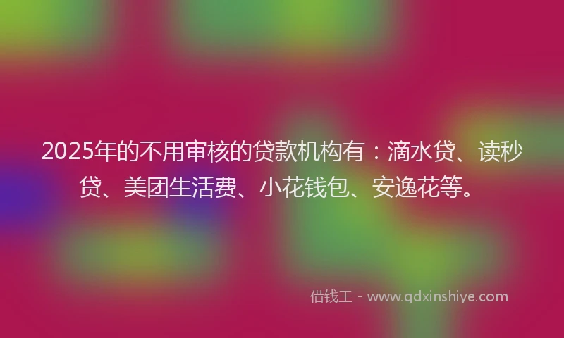 2025年的不用审核的贷款机构有：滴水贷、读秒贷、美团生活费、小花钱包、安逸花等。