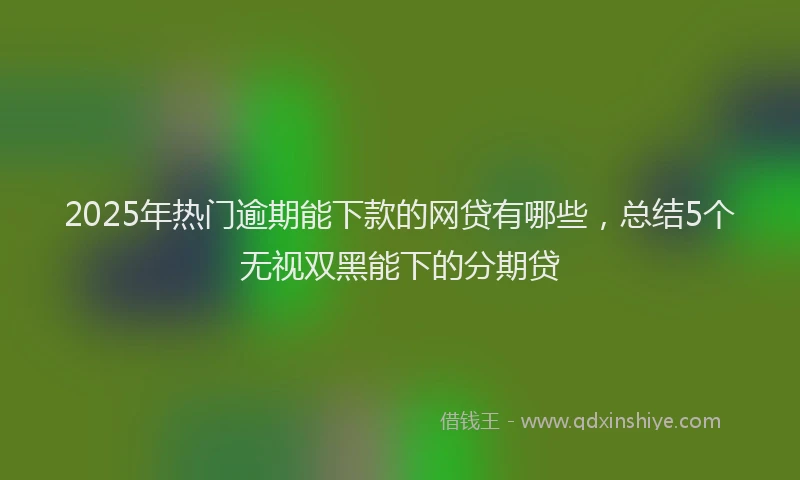 2025年热门逾期能下款的网贷有哪些，总结5个无视双黑能下的分期贷