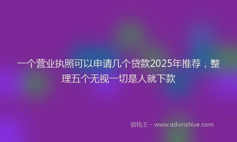一个营业执照可以申请几个贷款2025年推荐，整理五个无视一切是人就下款