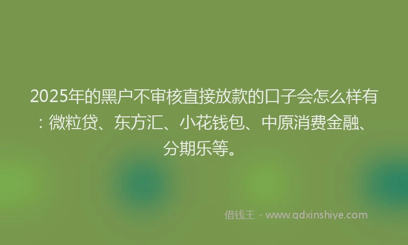 2025年的黑户不审核直接放款的口子会怎么样有：微粒贷、东方汇、小花钱包、中原消费金融、分期乐等。