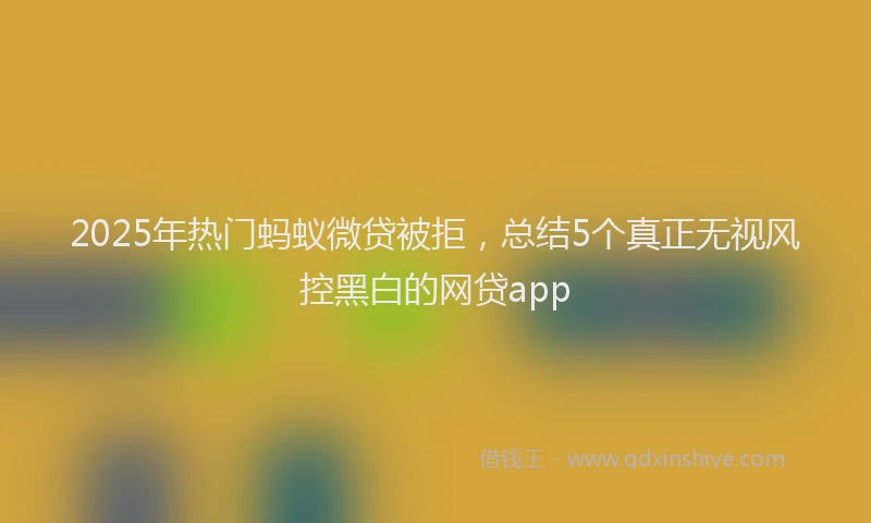 2025年热门蚂蚁微贷被拒，总结5个真正无视风控黑白的网贷app