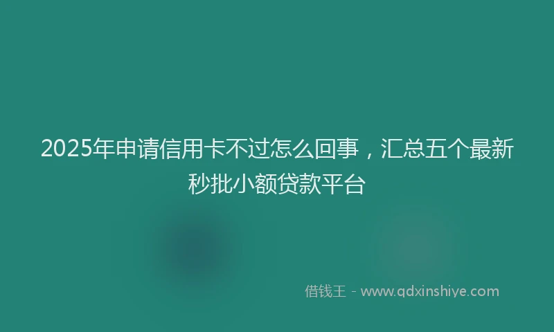 2025年申请信用卡不过怎么回事，汇总五个最新秒批小额贷款平台