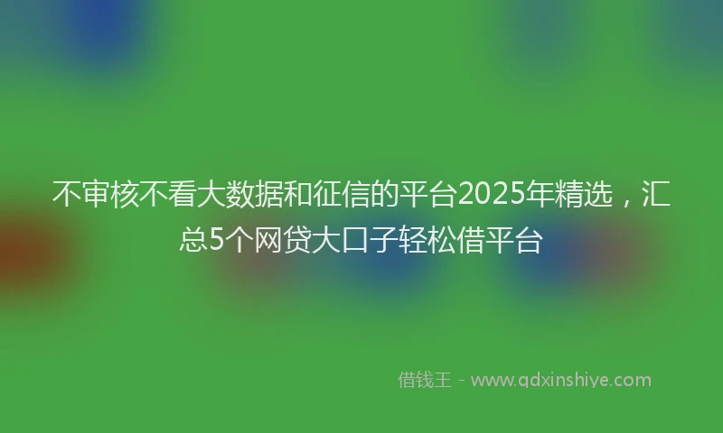 不审核不看大数据和征信的平台2025年精选，汇总5个网贷大口子轻松借平台