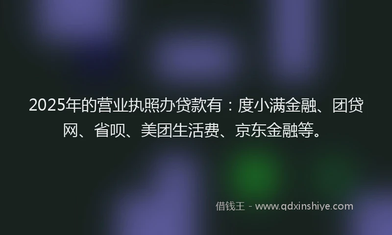 2025年的营业执照办贷款有：度小满金融、团贷网、省呗、美团生活费、京东金融等。