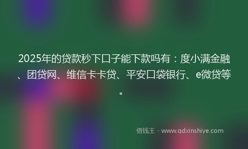 2025年的贷款秒下口子能下款吗有：度小满金融、团贷网、维信卡卡贷、平安口袋银行、e微贷等。