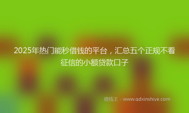 2025年热门能秒借钱的平台，汇总五个正规不看征信的小额贷款口子