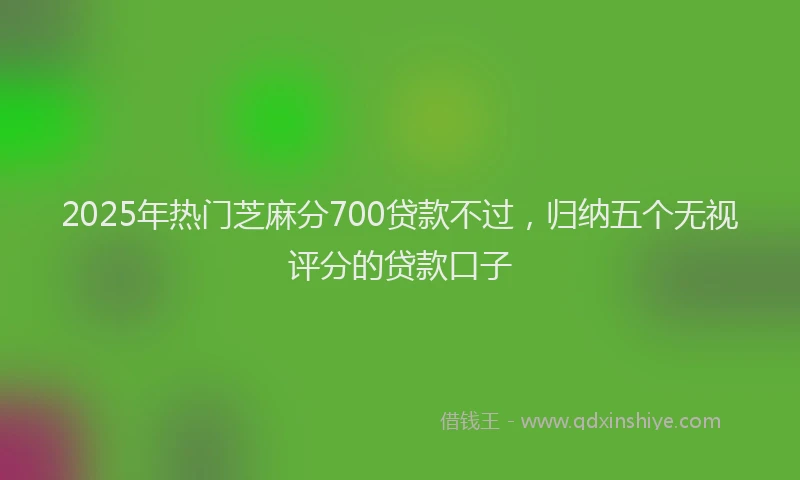 2025年热门芝麻分700贷款不过，归纳五个无视评分的贷款口子