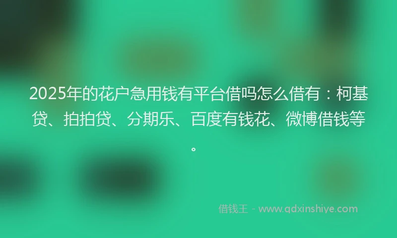 2025年的花户急用钱有平台借吗怎么借有：柯基贷、拍拍贷、分期乐、百度有钱花、微博借钱等。