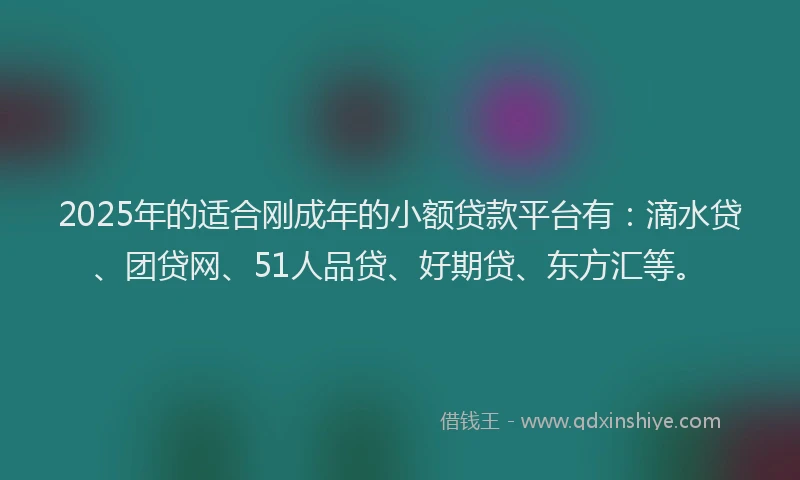 2025年的适合刚成年的小额贷款平台有：滴水贷、团贷网、51人品贷、好期贷、东方汇等。