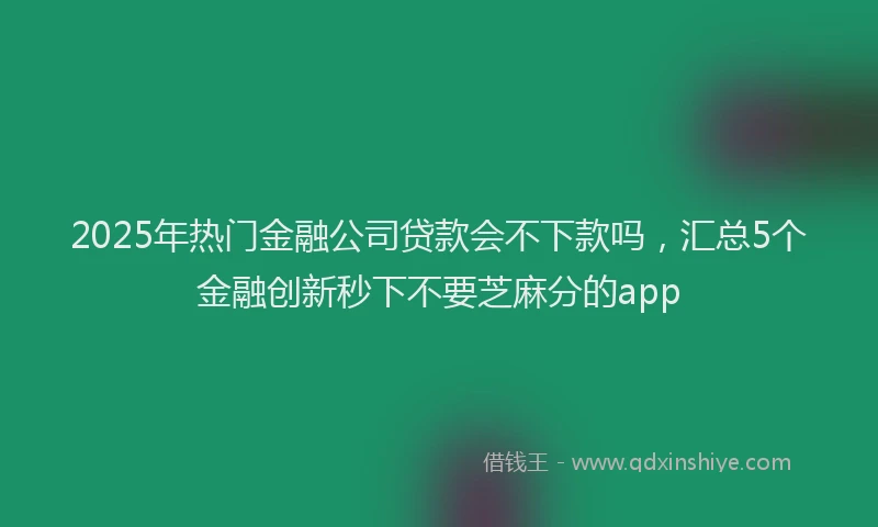 2025年热门金融公司贷款会不下款吗，汇总5个金融创新秒下不要芝麻分的app