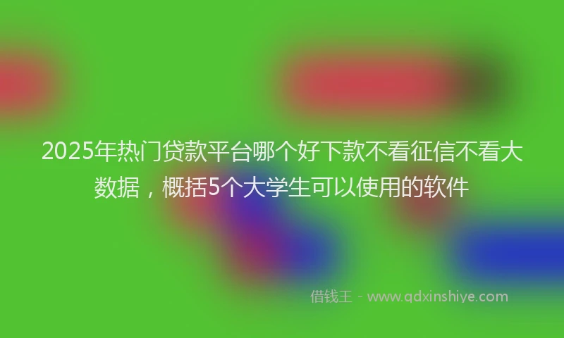 2025年热门贷款平台哪个好下款不看征信不看大数据，概括5个大学生可以使用的软件