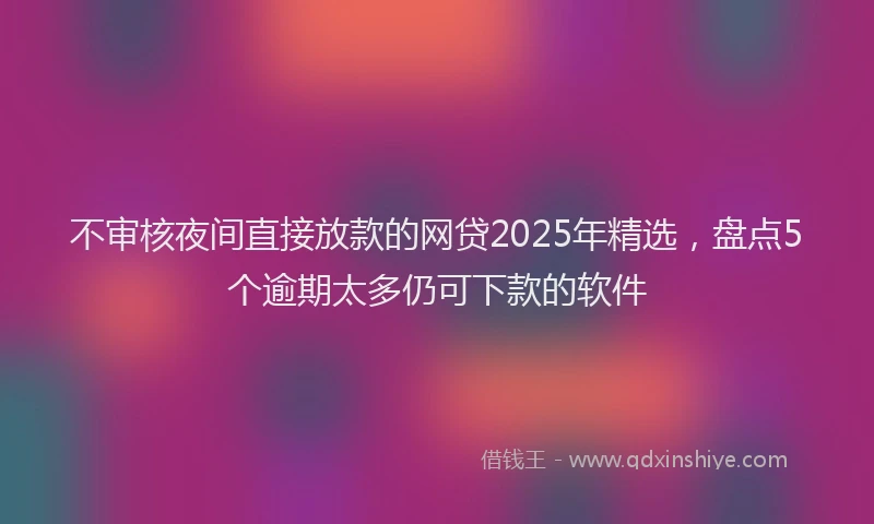 不审核夜间直接放款的网贷2025年精选，盘点5个逾期太多仍可下款的软件