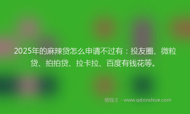 2025年的麻辣贷怎么申请不过有：投友圈、微粒贷、拍拍贷、拉卡拉、百度有钱花等。