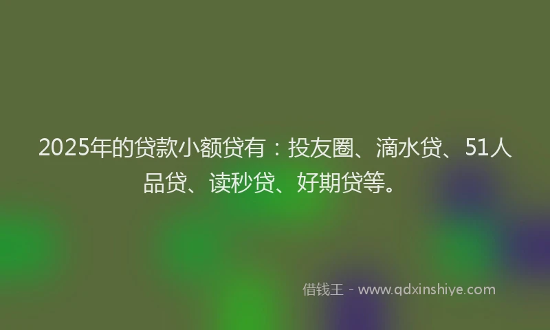 2025年的贷款小额贷有：投友圈、滴水贷、51人品贷、读秒贷、好期贷等。