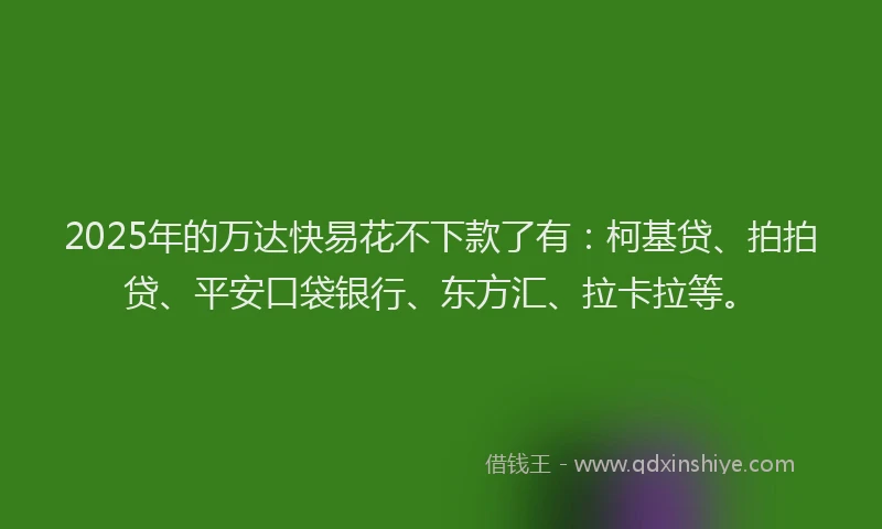 2025年的万达快易花不下款了有：柯基贷、拍拍贷、平安口袋银行、东方汇、拉卡拉等。