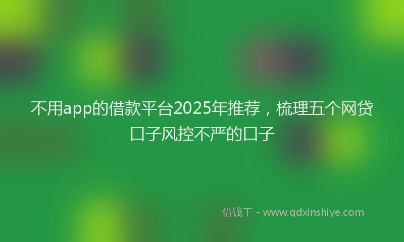 不用app的借款平台2025年推荐，梳理五个网贷口子风控不严的口子