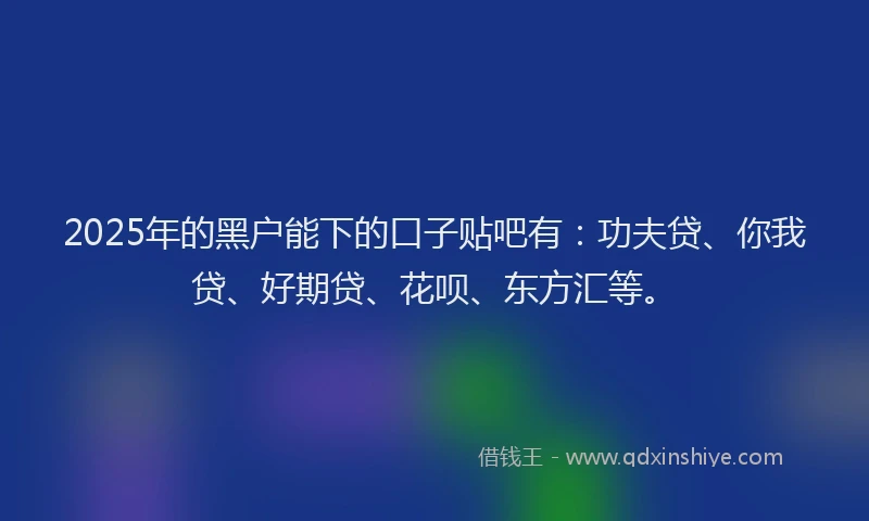 2025年的黑户能下的口子贴吧有：功夫贷、你我贷、好期贷、花呗、东方汇等。