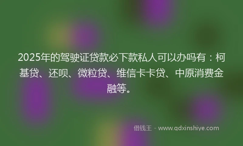 2025年的驾驶证贷款必下款私人可以办吗有：柯基贷、还呗、微粒贷、维信卡卡贷、中原消费金融等。