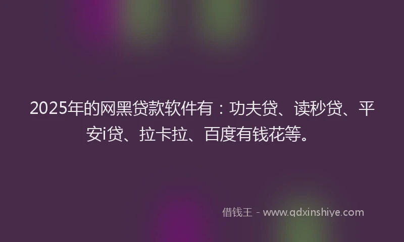 2025年的网黑贷款软件有：功夫贷、读秒贷、平安i贷、拉卡拉、百度有钱花等。