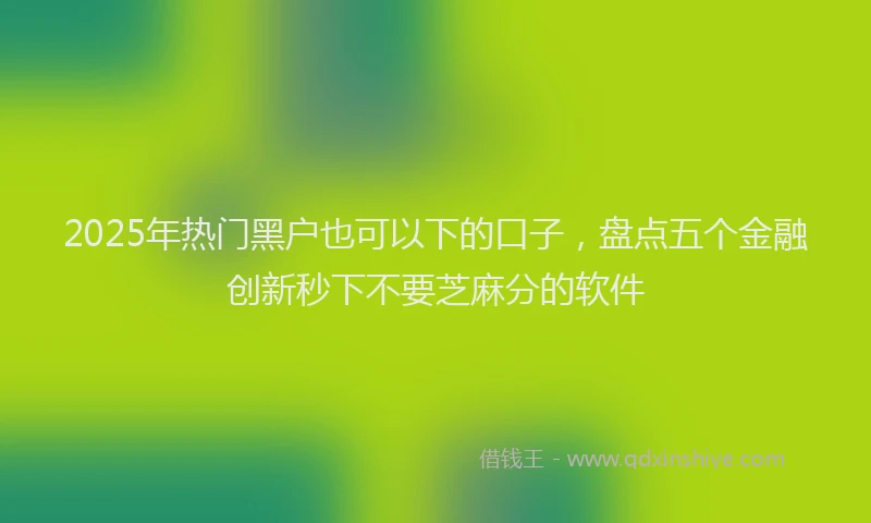 2025年热门黑户也可以下的口子，盘点五个金融创新秒下不要芝麻分的软件
