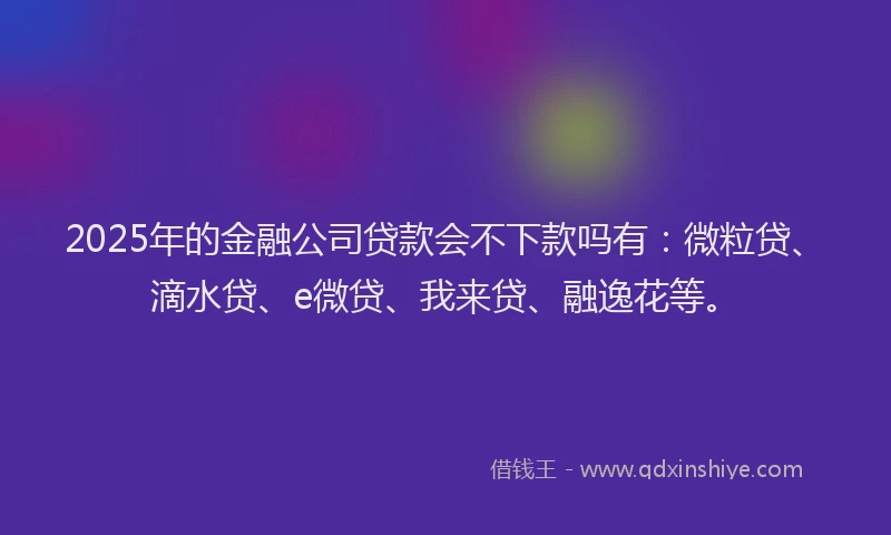 2025年的金融公司贷款会不下款吗有：微粒贷、滴水贷、e微贷、我来贷、融逸花等。