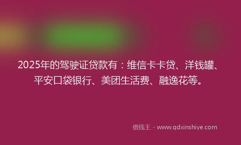 2025年的驾驶证贷款有：维信卡卡贷、洋钱罐、平安口袋银行、美团生活费、融逸花等。