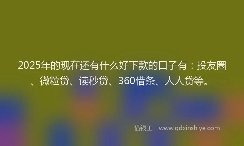 2025年的现在还有什么好下款的口子有：投友圈、微粒贷、读秒贷、360借条、人人贷等。