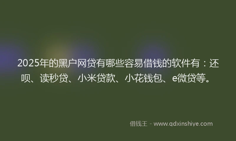 2025年的黑户网贷有哪些容易借钱的软件有：还呗、读秒贷、小米贷款、小花钱包、e微贷等。