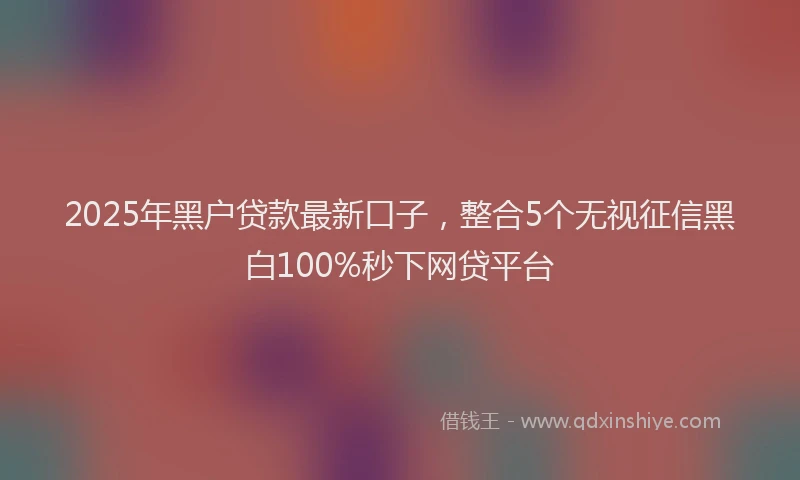 2025年黑户贷款最新口子，整合5个无视征信黑白100%秒下网贷平台