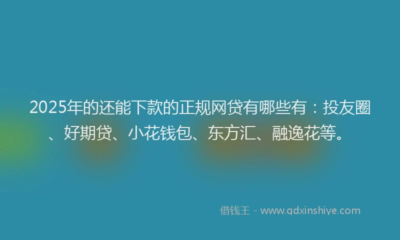 2025年的还能下款的正规网贷有哪些有：投友圈、好期贷、小花钱包、东方汇、融逸花等。