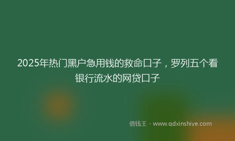 2025年热门黑户急用钱的救命口子，罗列五个看银行流水的网贷口子