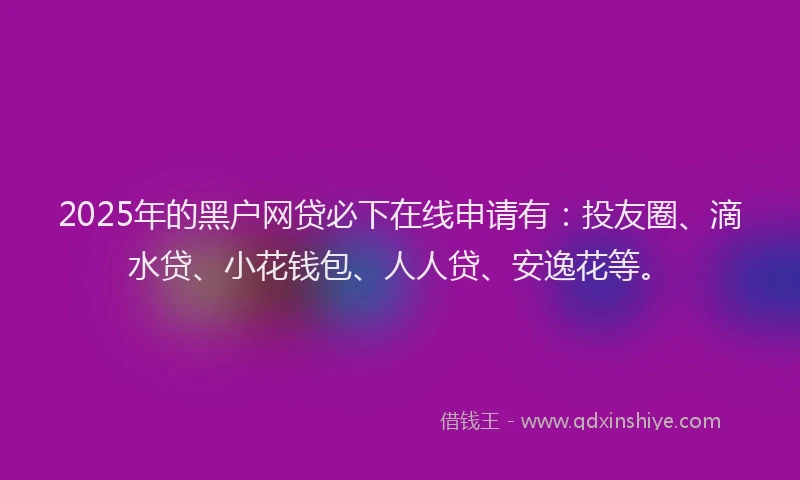 2025年的黑户网贷必下在线申请有：投友圈、滴水贷、小花钱包、人人贷、安逸花等。