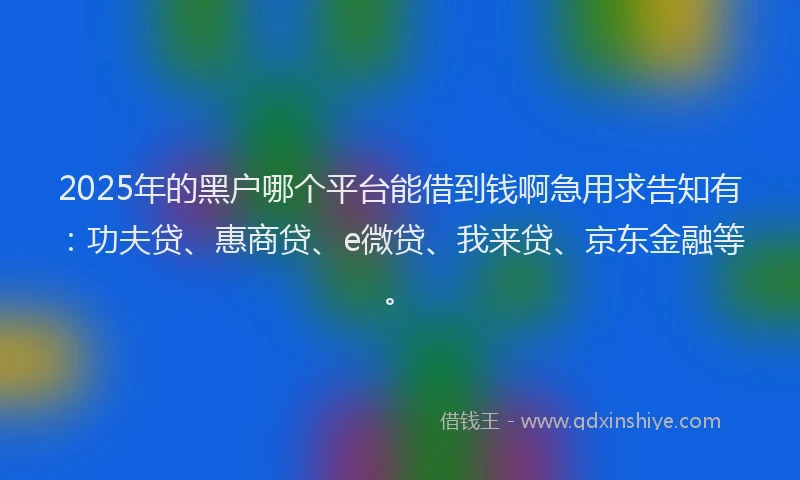2025年的黑户哪个平台能借到钱啊急用求告知有：功夫贷、惠商贷、e微贷、我来贷、京东金融等。