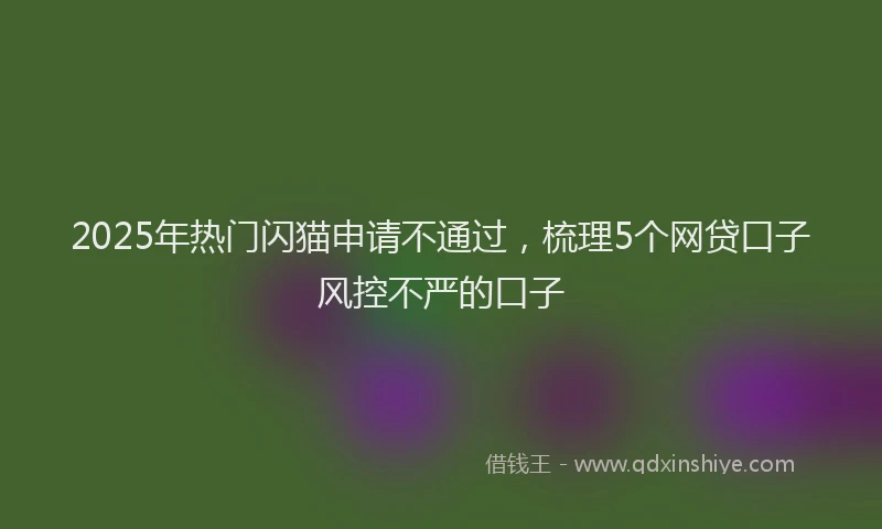 2025年热门闪猫申请不通过，梳理5个网贷口子风控不严的口子