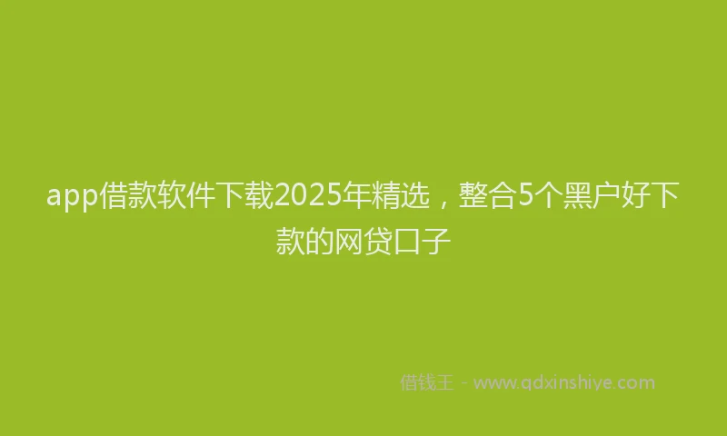 app借款软件下载2025年精选，整合5个黑户好下款的网贷口子