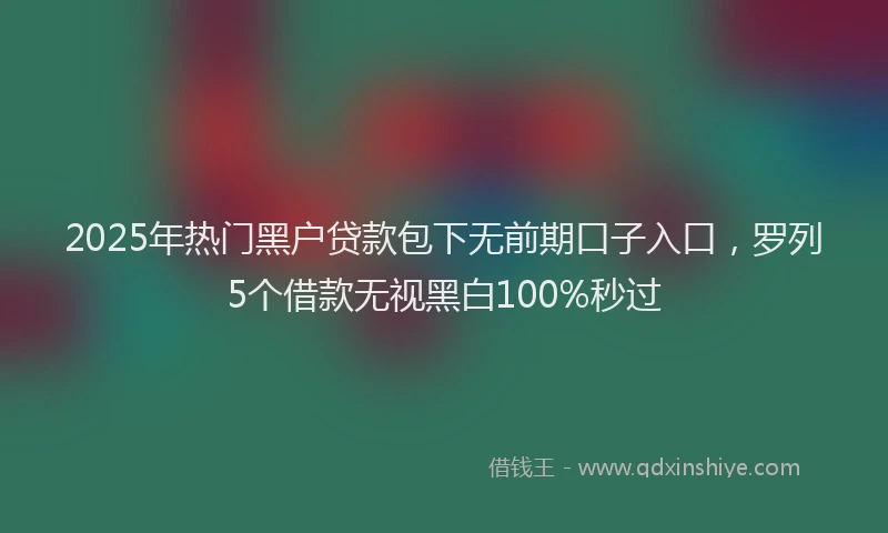 2025年热门黑户贷款包下无前期口子入口，罗列5个借款无视黑白100%秒过