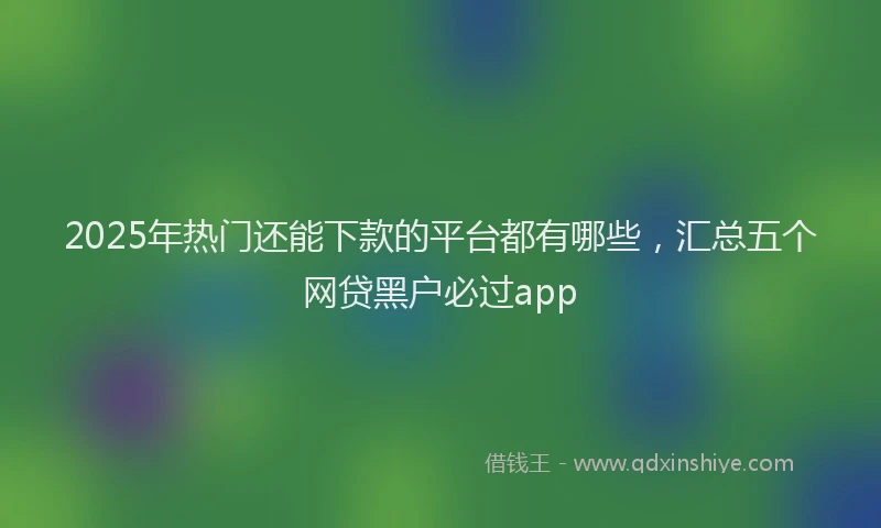 2025年热门还能下款的平台都有哪些，汇总五个网贷黑户必过app