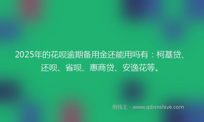 2025年的花呗逾期备用金还能用吗有：柯基贷、还呗、省呗、惠商贷、安逸花等。