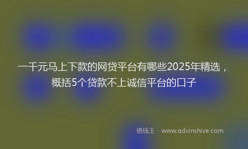 一千元马上下款的网贷平台有哪些2025年精选，概括5个贷款不上诚信平台的口子