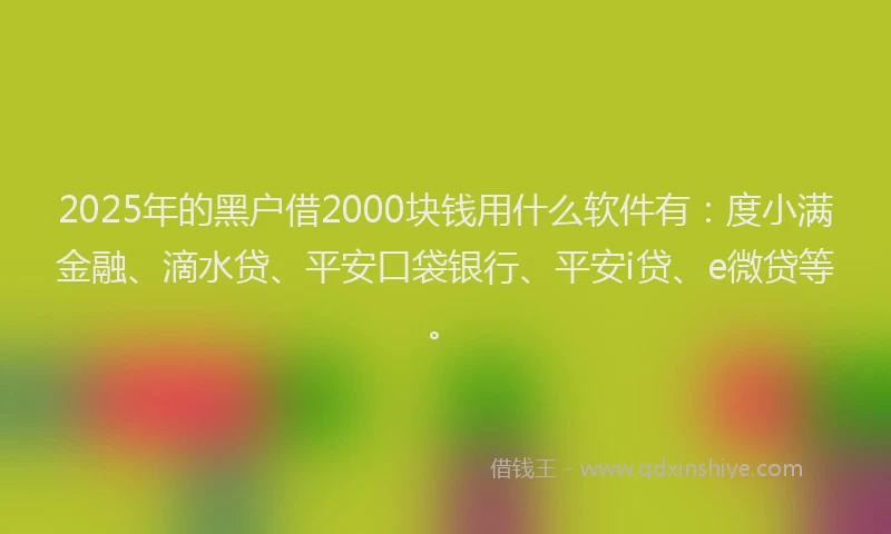 2025年的黑户借2000块钱用什么软件有：度小满金融、滴水贷、平安口袋银行、平安i贷、e微贷等。
