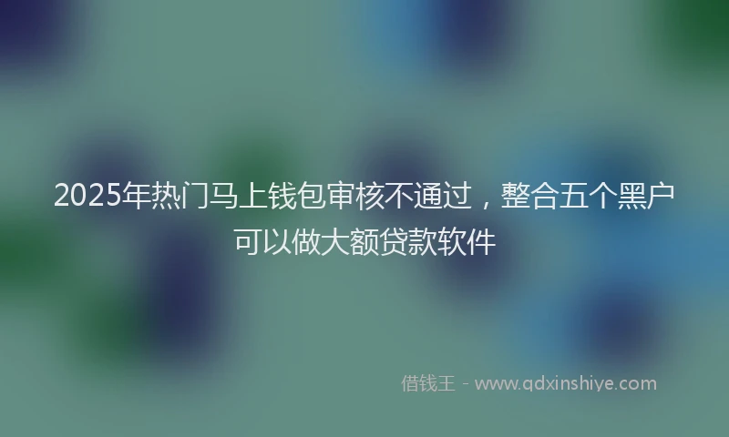 2025年热门马上钱包审核不通过，整合五个黑户可以做大额贷款软件