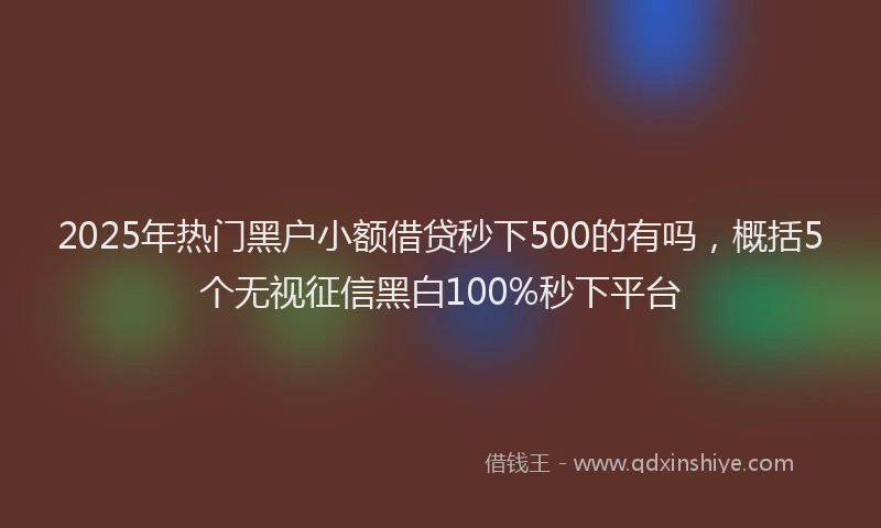 2025年热门黑户小额借贷秒下500的有吗，概括5个无视征信黑白100%秒下平台