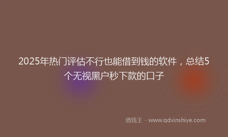 2025年热门评估不行也能借到钱的软件，总结5个无视黑户秒下款的口子