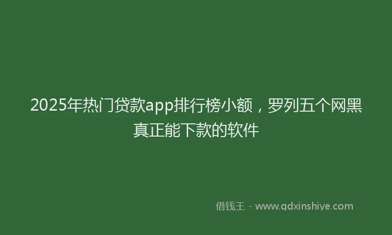 2025年热门贷款app排行榜小额，罗列五个网黑真正能下款的软件