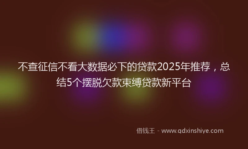 不查征信不看大数据必下的贷款2025年推荐，总结5个摆脱欠款束缚贷款新平台