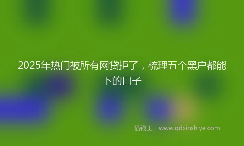 2025年热门被所有网贷拒了，梳理五个黑户都能下的口子