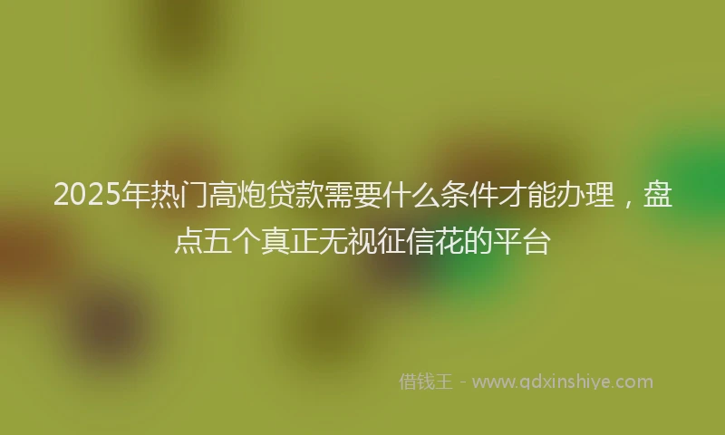 2025年热门高炮贷款需要什么条件才能办理，盘点五个真正无视征信花的平台